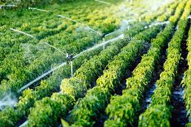 Irrigation Systems